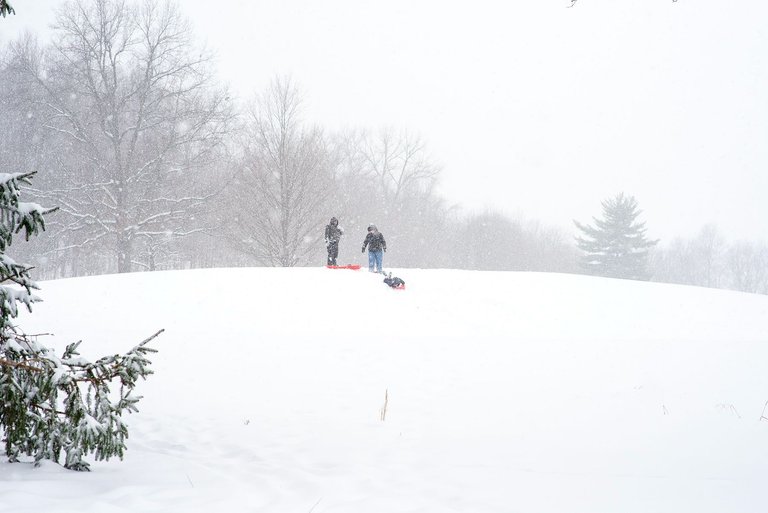 snow_sledding_on_the_iroquois_golf_course_copy.jpg