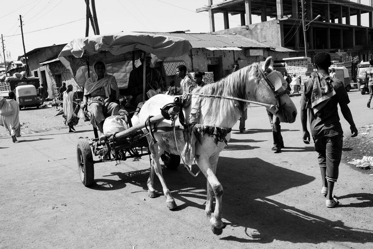 ethiopia_streets_2015_by_victor_bezrukov_1.jpg