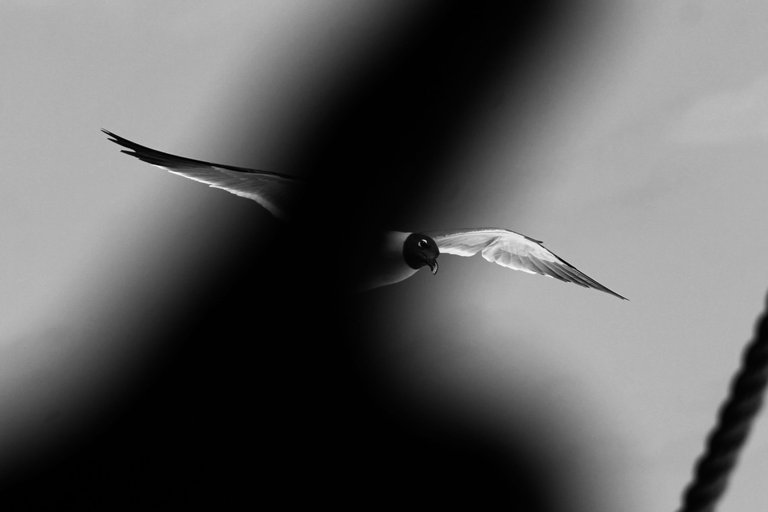 img_0123_20copia.jpg
