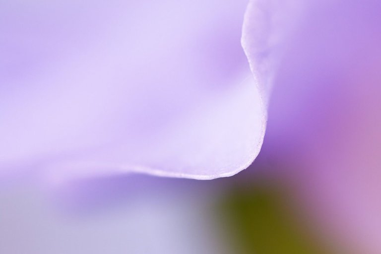 BgxWBRxjvNho1d5owNvLc9kLkZETgqoQLu9zcBbNBbDDEp9W4DbuZJuYxayewrsXthewDpkzSdKgGTHqxo7RSBaJkSCX3JCMMPLqAE6cx3QEsUNZ1TGH7JCV2ZhHXucbfNgDydppNXSwzjJbKmdd96Xt7yXwLpdcmAAMPUGCeU5MAEr.jpeg