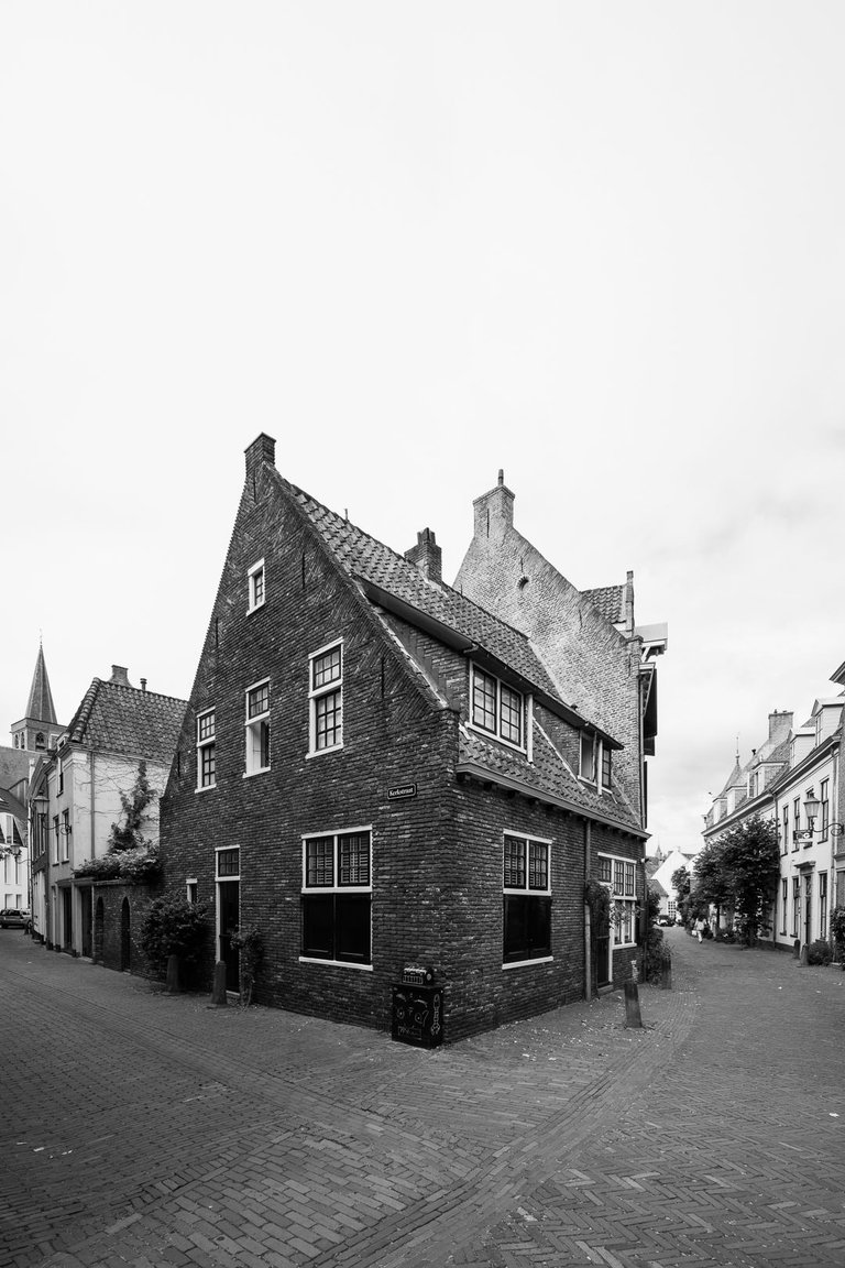 laowa15mm_mono_07616.jpg