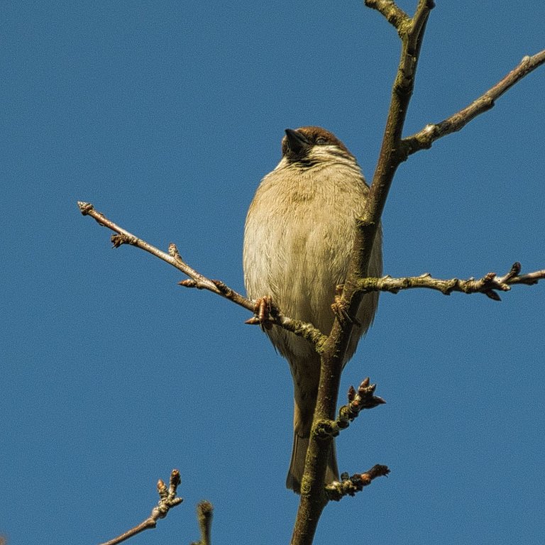 dsc_9623.jpg