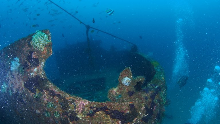 Wreck Alma Jane001.JPG