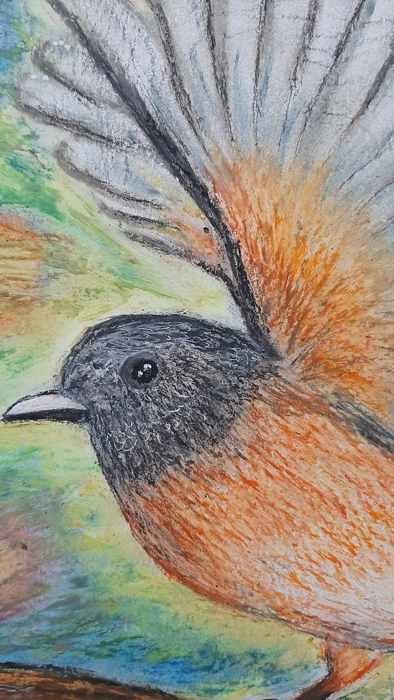 Pajaro01.jpg