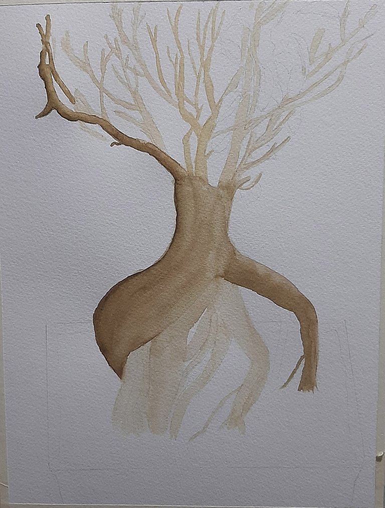bonsai02.jpg