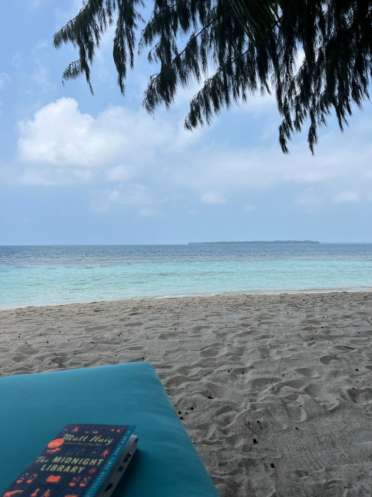 IMG_9787.JPEG