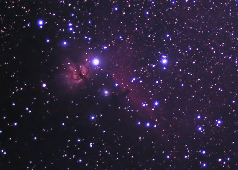 Flame and horse head  nebulae 28feb22- PXIS INSTA 1080.jpg