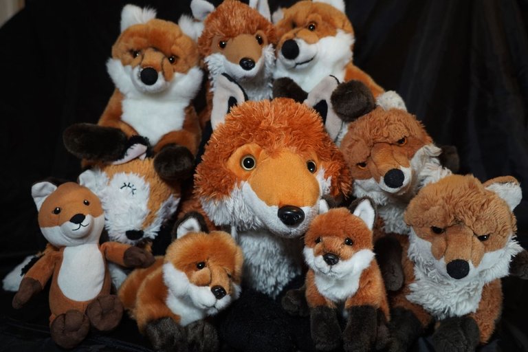 Ça en fait une grande famille de renards tout ça !