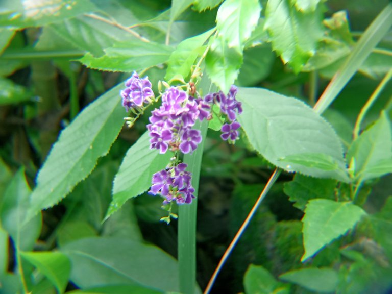 IMG20250824105354_00.jpg