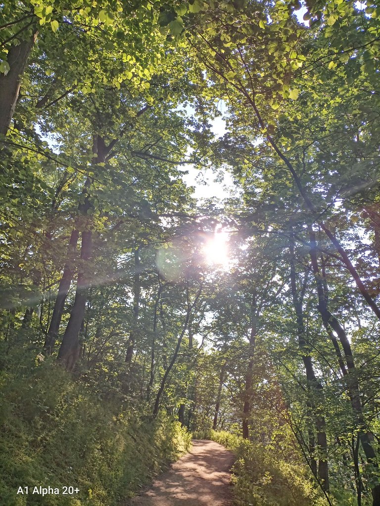 IMG_20250510_175839.jpg