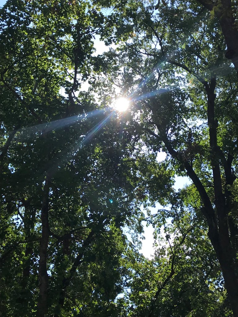 431CB4AE-F0D6-44D5-9D81-9864D76C7DE9.jpeg