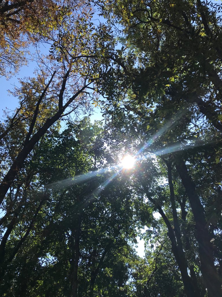 0882E0B8-A375-405C-8B1F-B167684AF3EA.jpeg