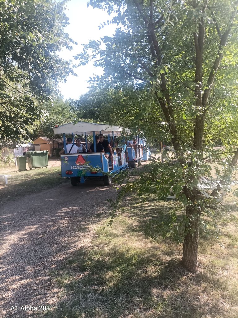 IMG_20250814_161315.jpg