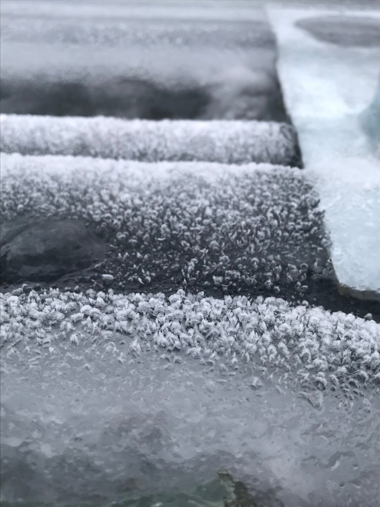 36659C67-9893-4FEF-824C-632EE5AE915A.jpeg