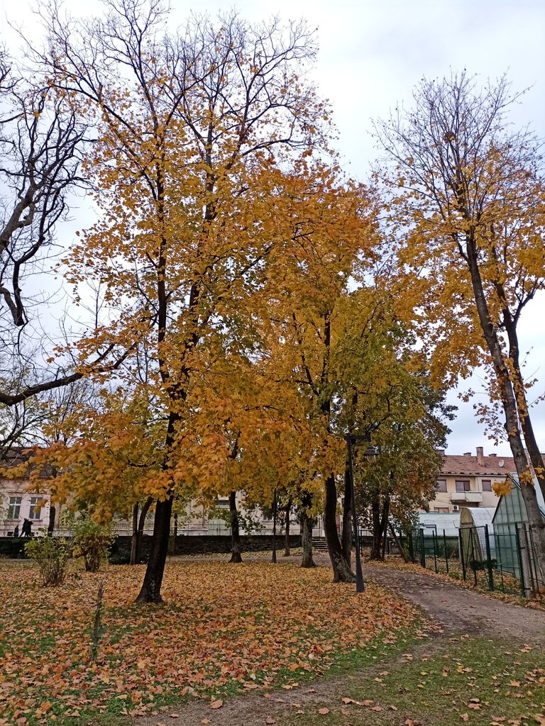 IMG_20231201_120644.jpg