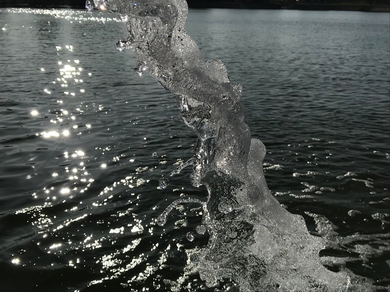 99FC4867-CF90-4866-973A-4626E752E27A.jpeg