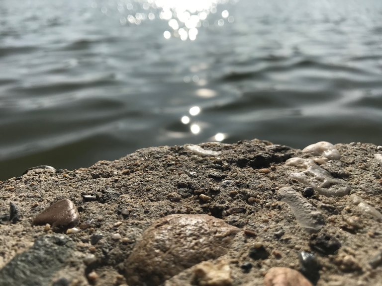 D7678F4E-E1D3-4B26-A678-F32E44B30794.jpeg