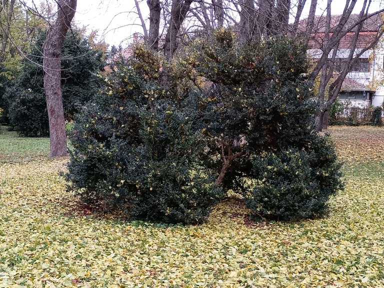 IMG_20231201_121741.jpg