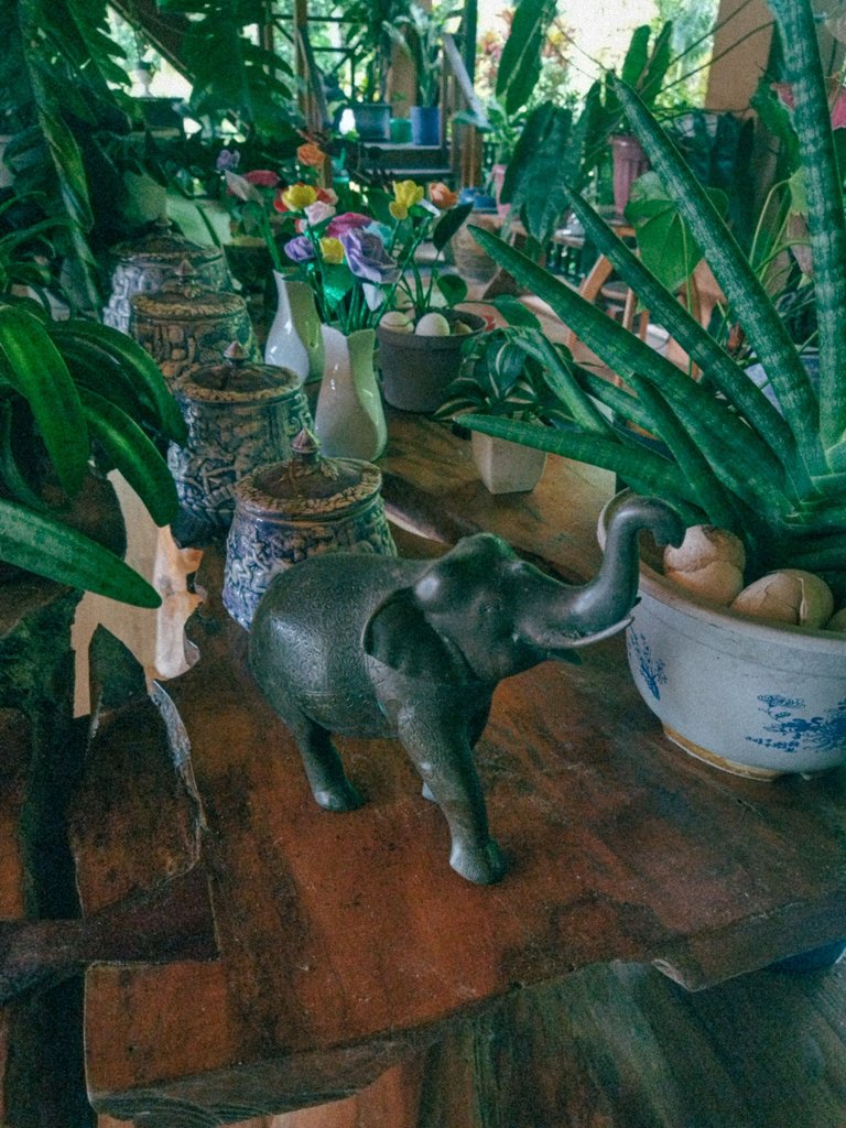 10a.jpg