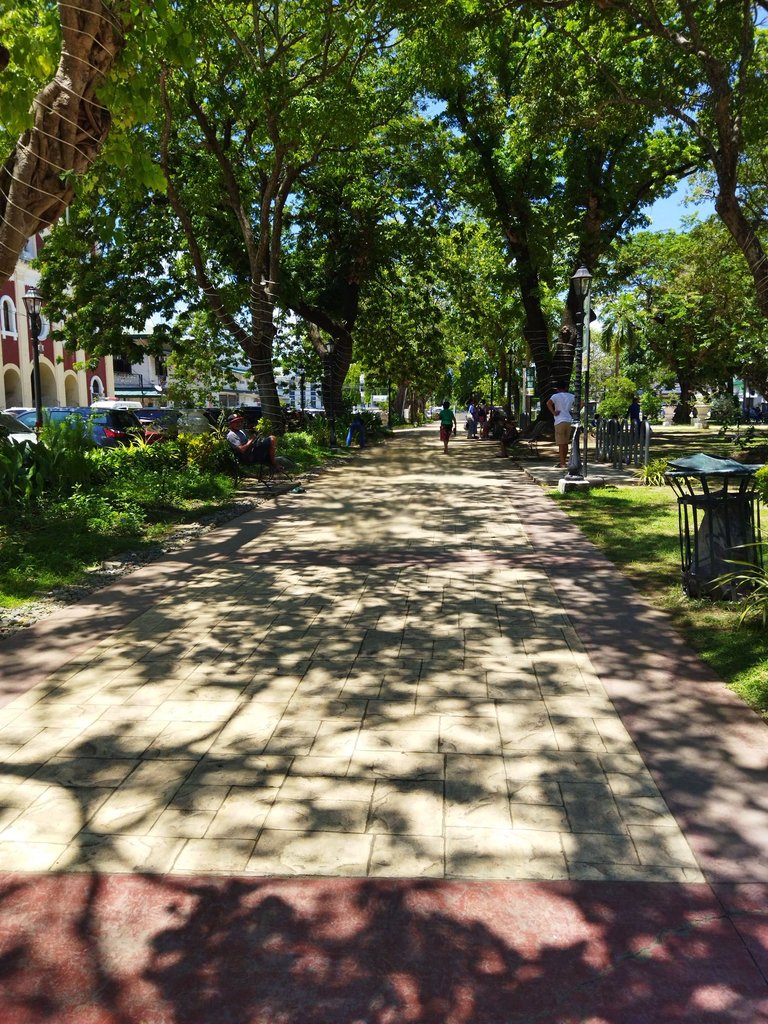 10.jpg