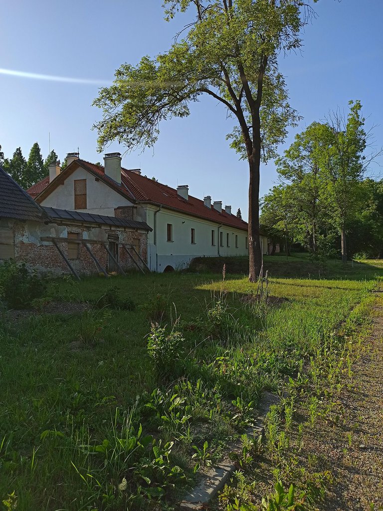1655668595209.jpg