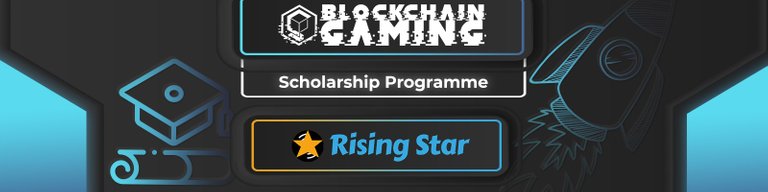 Rising Star Scholarship Banner.jpg