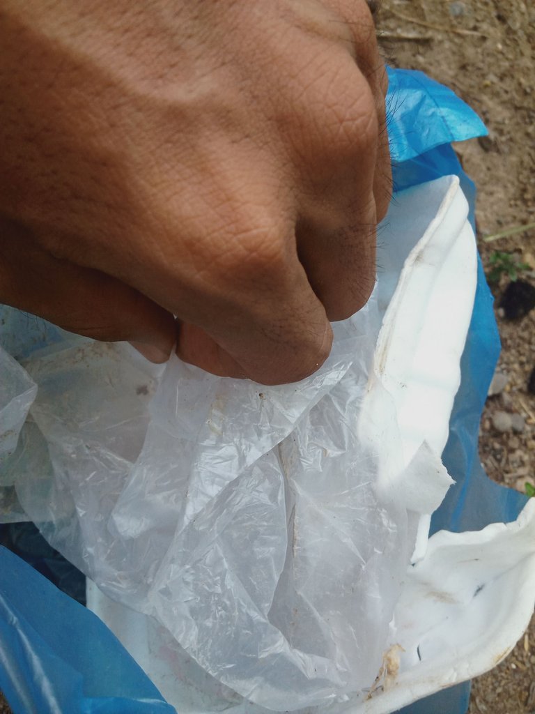 IMG20230429181604.jpg