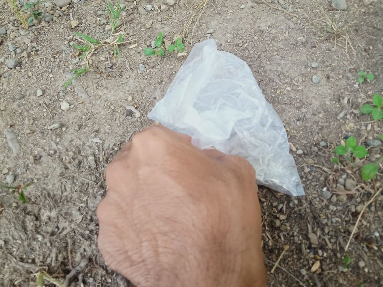 IMG20230429181549.jpg