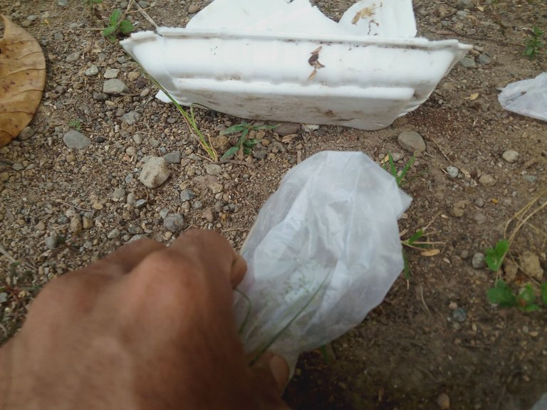 IMG20230429181438.jpg