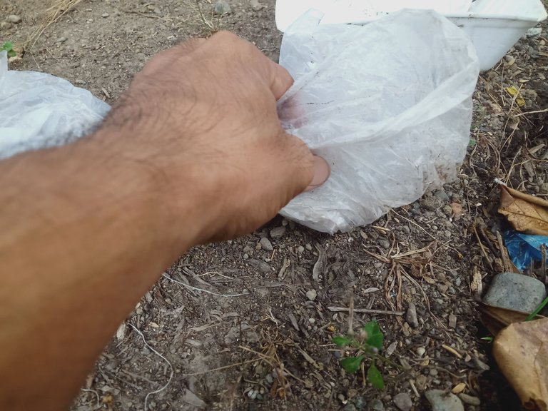 IMG20230429181534.jpg