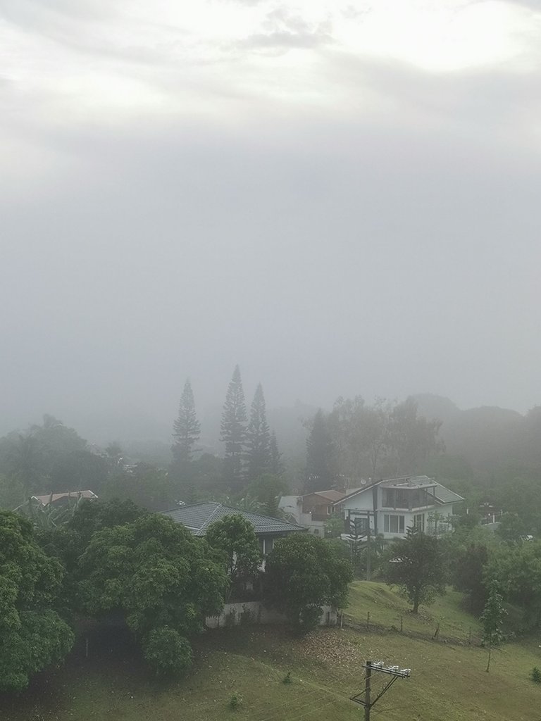 7. Foggy.jpg