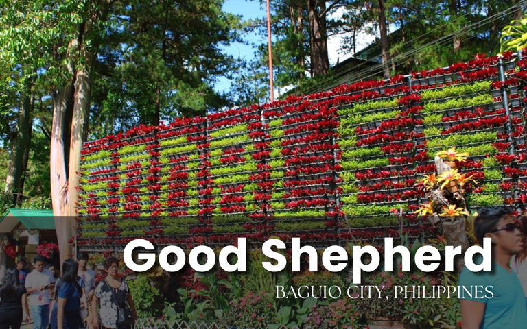 0. Cover - Good Shepherd Convent.png