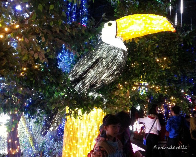 A Glowing Toucan in the Park | Night Photography #20