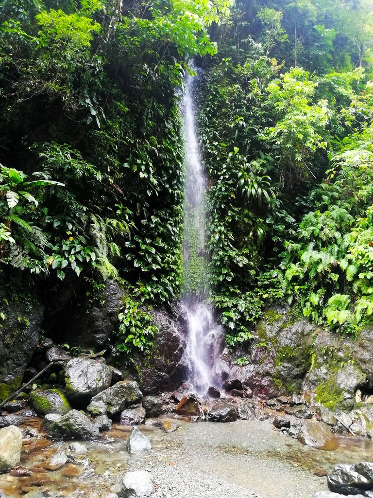 6. Mini fall.jpg