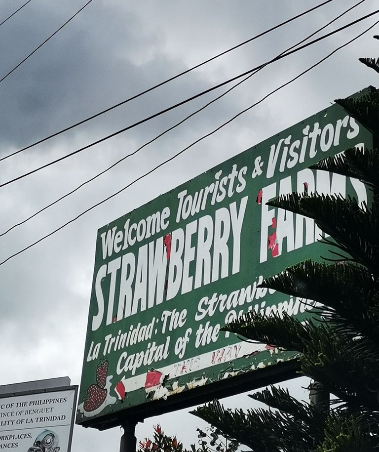 1. Strawberry Farm signboard.jpg