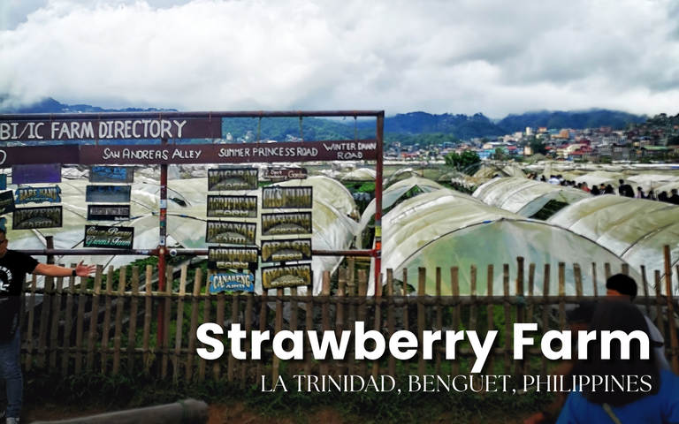 0. Cover - Strawberry Farm.png