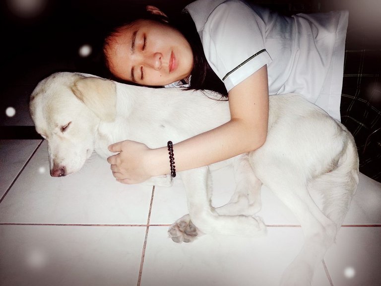 Sweet Dreams with Chupuppy.jpg