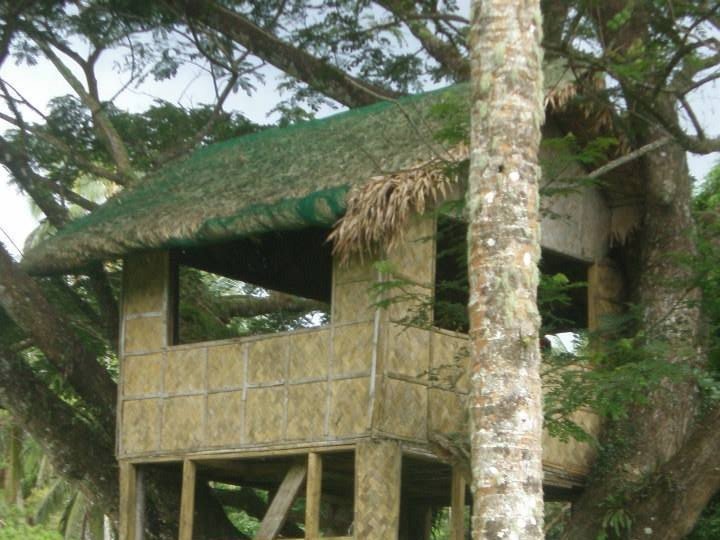 3. Shelter.jpg