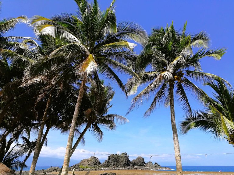 4. Diguisit Beach View.jpg