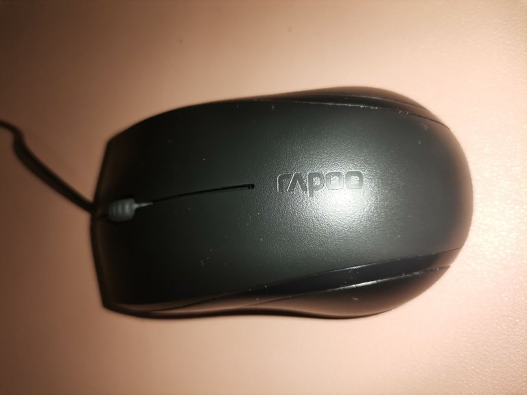 14. New Mouse.jpg