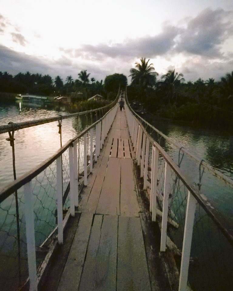 7. Zabali Hanging Bridge.jpg
