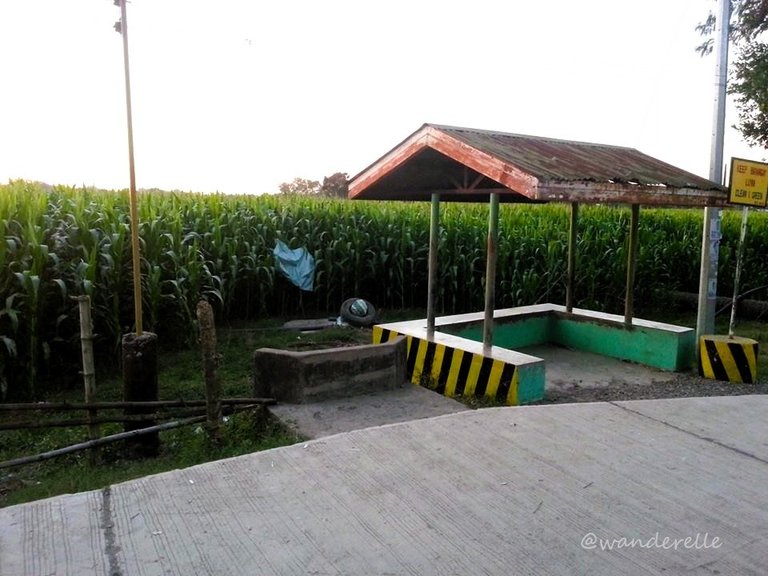 3. Waiting Shed.jpg