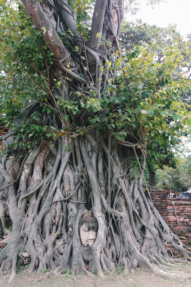 Ayutthaya 32.jpg