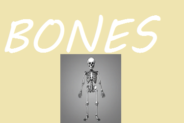 Bones.png