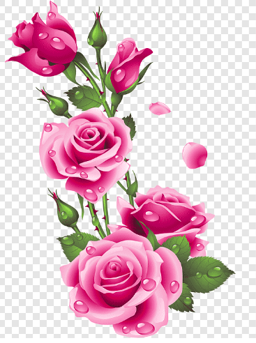 Rosas_Rosadas.png