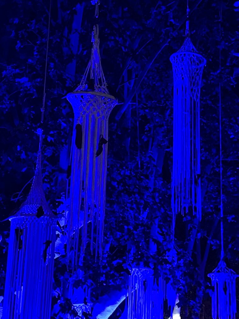 IMG_9691.jpeg