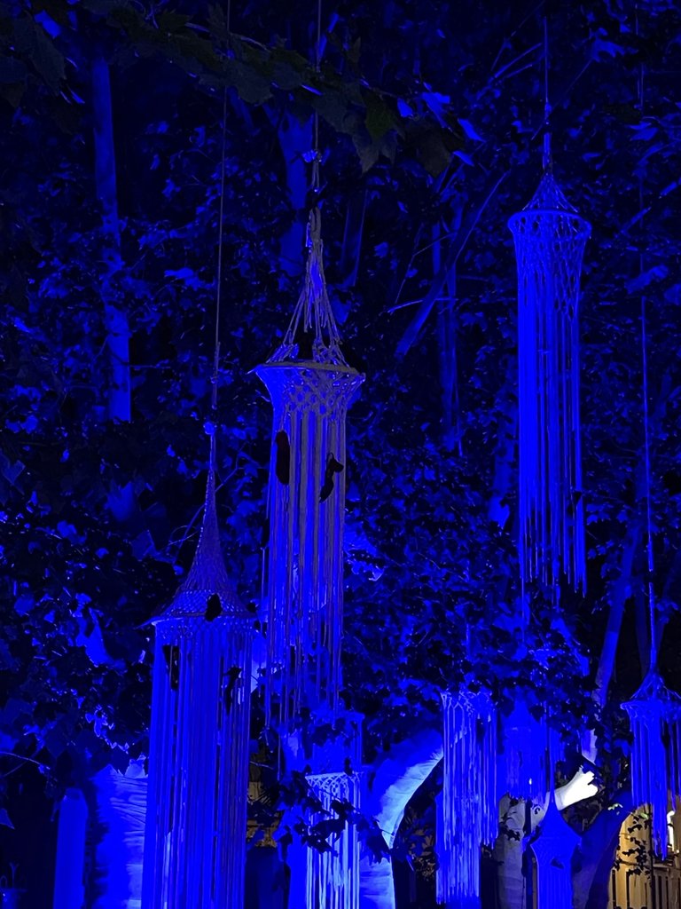 IMG_9689.jpeg