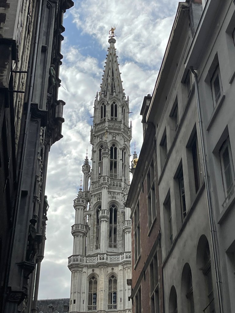 IMG_0586.jpeg