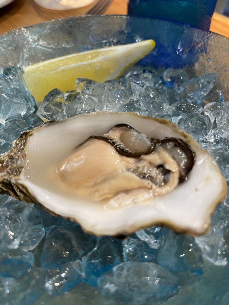 6B199215-8357-4EA6-A684-255863740B6D.jpeg