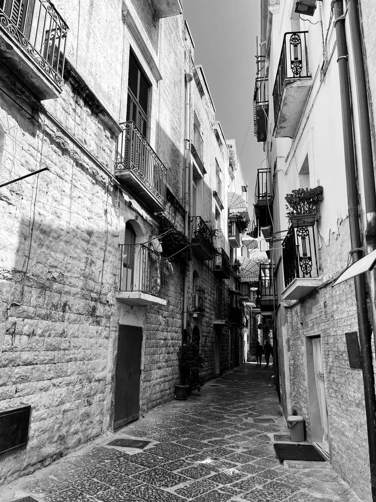 87BEFC15-5D16-43DC-A705-F7827A1464D9.jpeg